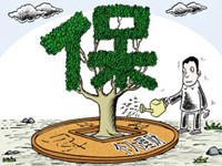 郑州城乡居民养老保险缴费标准上调了多少？