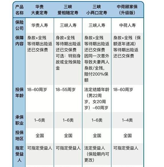 中产阶级最适合的定期寿险