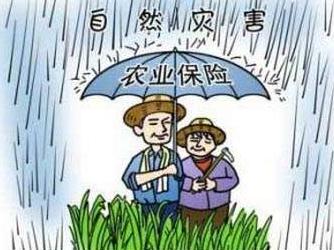 贵州省政策性农业保险
