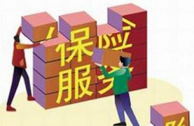 保险服务是什么?有哪些内容？