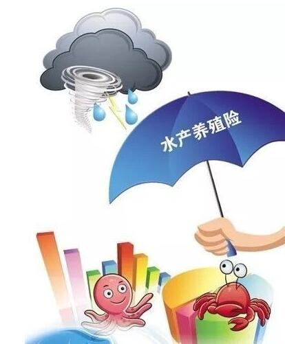 水产养殖保险在哪儿买？