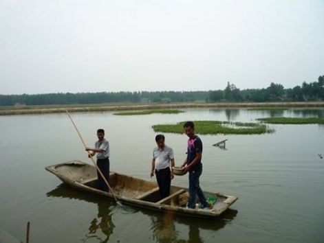 水产养殖保险多少钱？