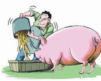 养猪可以买平安保险吗?