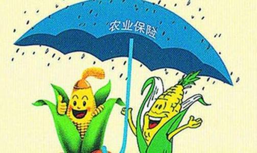 2018政策性农业保险招标文件示例