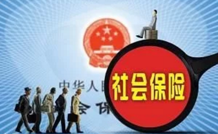 如何加大社保费征收力度？小编有几点建议