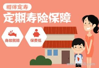 为什么成年人需要买定期寿险