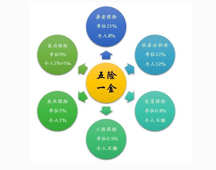 五险一金及缴纳比例详析