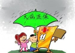 城乡居民大病保险的保障范围是什么？