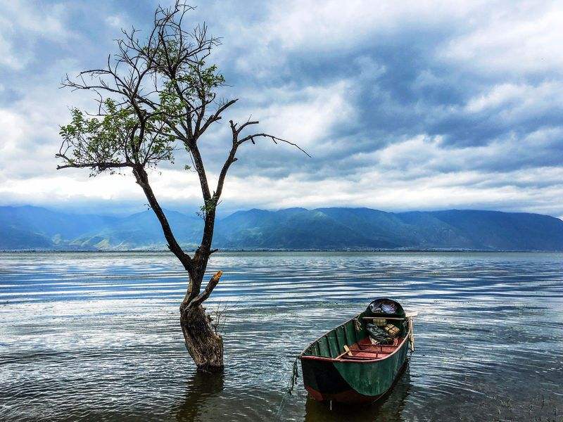 想看看世界奈何行动不便？不妨先看看残疾人旅游保险