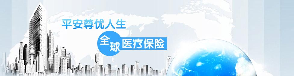 2018年投保平安尊优人生须知