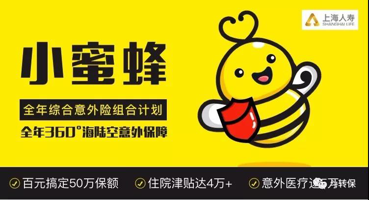 上海人寿小蜜蜂全年综合意外保险怎么样？