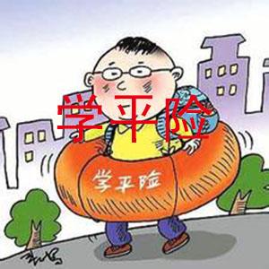 投保攻略——我们该如何挑选学平险？