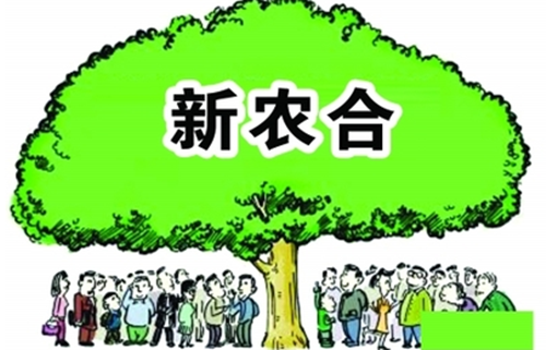 陕西：新农合大病保险的报销范围