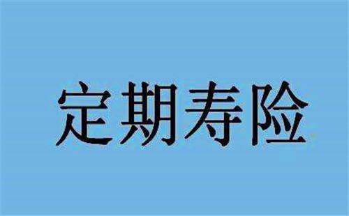 2019年国富人寿一世无忧定期寿险测评