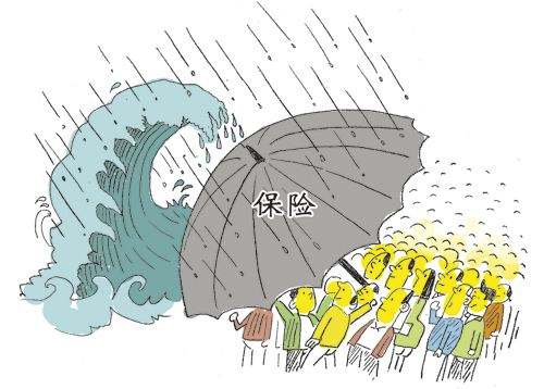 谈一谈大型保险公司的优势与劣势