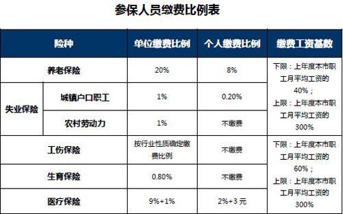 社保缴费比例是如何计算的？