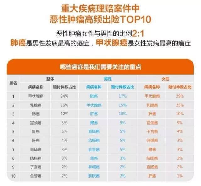 31岁重疾险多少钱