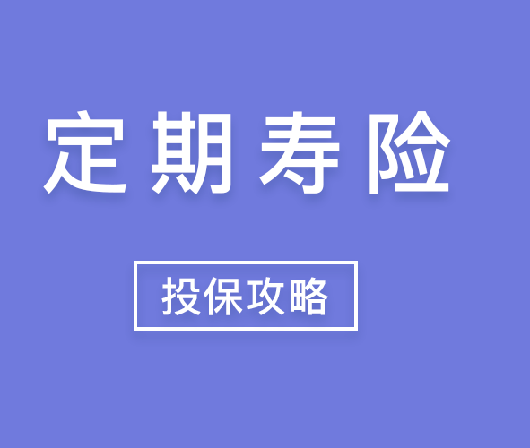 小安定期寿险主要是保什么 小安定期寿险针对多大年龄