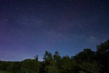 犹豫期退保理由怎么说比较好