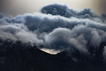 太平洋保险网上退保流程怎么走?