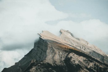 泰康保险公司