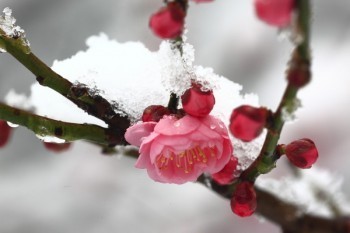 泰生活退保流程