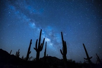 上海平安保险退保地址