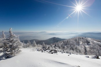 保险买够了年限了可以回本吗