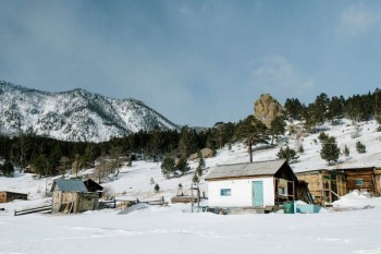 平安保险退费和退保