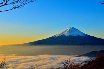 平安福四年退保能退多少钱