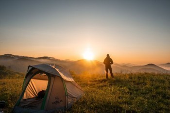 岁岁登高20年分红型退保怎么退?