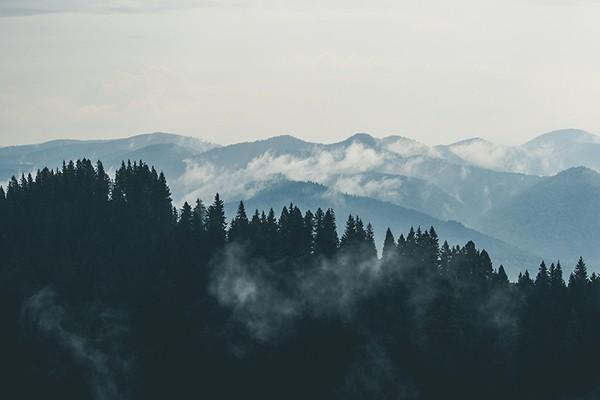 退保险怎么能全额退