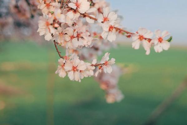 平安百万医疗e生保