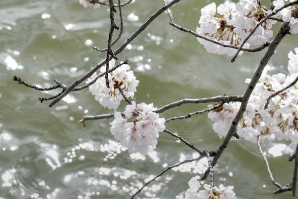 平安e生保保险介绍