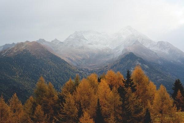 太平洋终身寿险是啥意思