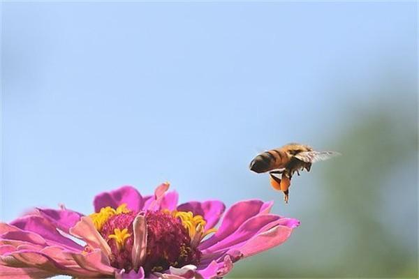 太平岁悦添富终身寿险可取出吗？怎么取？