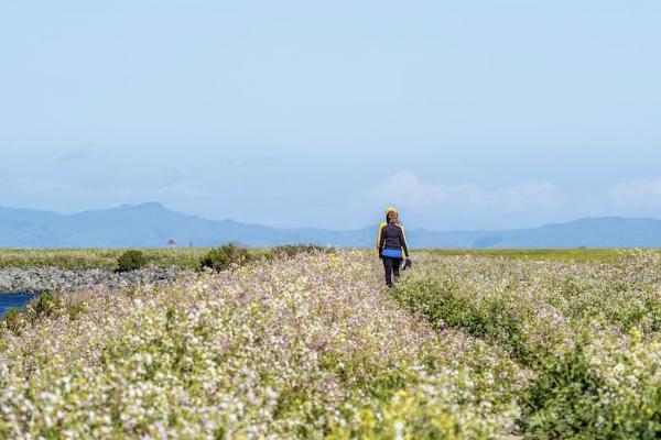 恒邦车险怎么样可靠吗？全国通赔吗？