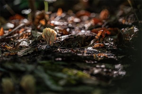 信诚康赢年年年金保险B款