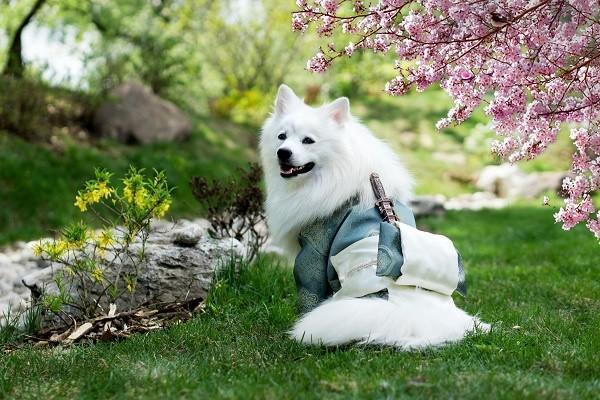 百万医疗保险怎么联系客服