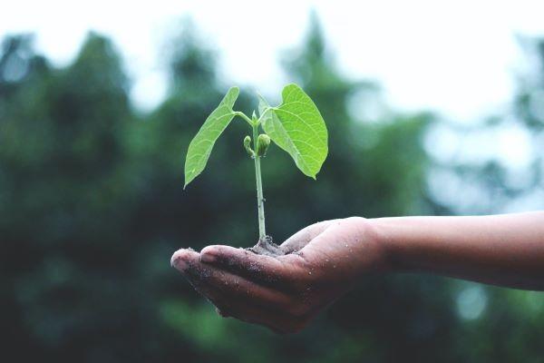 上海学生保险怎么报