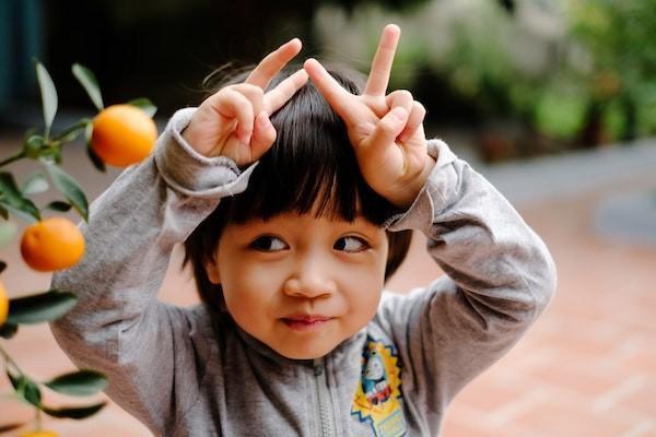 香港五大保险公司有哪些，保险公司的险种怎么选