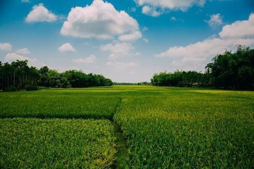 长清太平洋保险公司在什么地方，太平洋保险公司有哪些险种