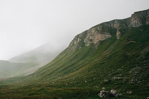 自己全责保险公司赔吗，保险公司可以赔付哪些费用