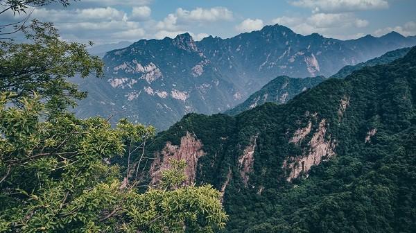 意外险一百万的怎么赔付，一年保险费多少钱