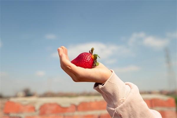 银行退保怎么退