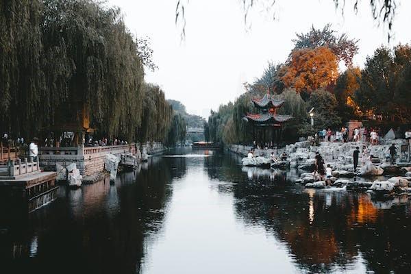 太平洋退保多久能到账，如何退保