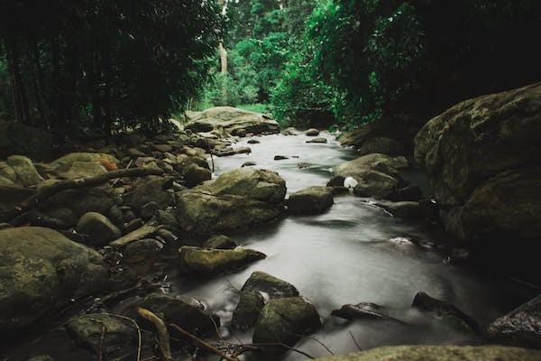 元保保险怎么样算投保成功，有必要买吗