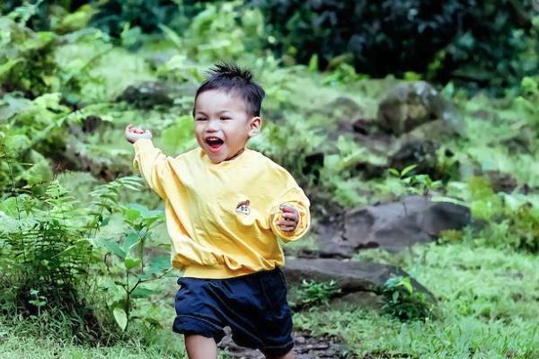 保险退了以后后悔了能不能再续