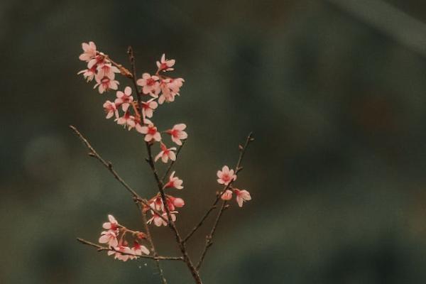 投保综合意外险