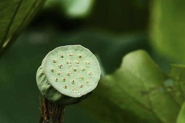 人身保险属于什么范畴